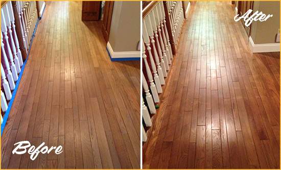 Before and After Picture of a Long Grove Wood Sandless Refinishing Service on a Worn Out Floor