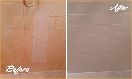 Before and After Picture of a Lemont Porcelaine Shower Cleaned to Remove Soap Scum