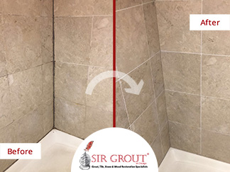 Before and After Picture ofa Shower's Grimmy, Dirty Grout Lines in Lakeview, IL