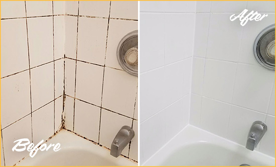 Before and After Picture of a Barlett Shower Tile and Grout Cleaned to Eliminate Mold