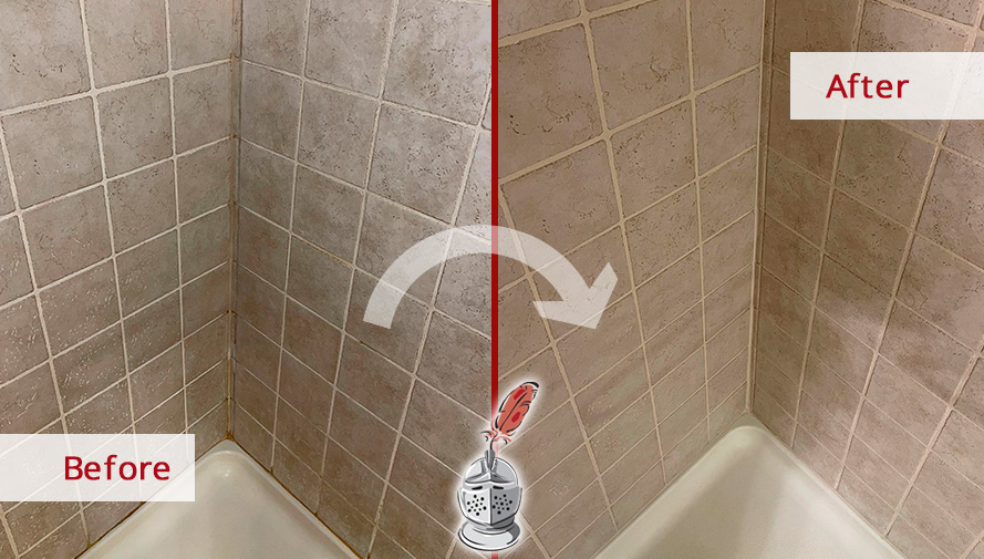 Image of a Shower Before and After a Professional Grout Cleaning in Park Ridge, IL