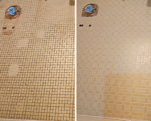 Shower Before and After a Grout Cleaning in Chicago, IL