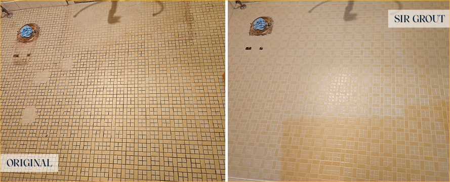 Shower Before and After a Flawless Grout Cleaning in Chicago, IL