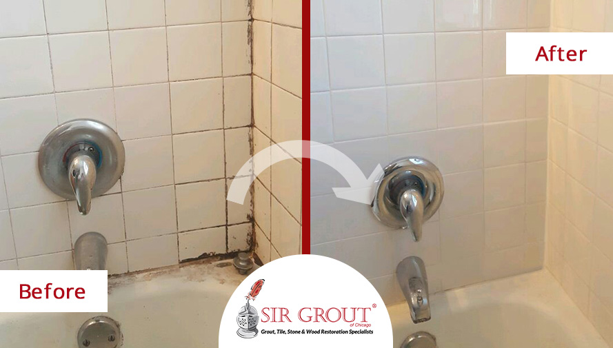 Before and After Picture of a Grout Cleaning and Mold Removal Service on a Tile Bathroom in Lakeview, IL