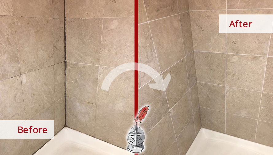 Before and After Picture of a Shower's Grimmy, Dirty Grout Lines in Lakeview, IL