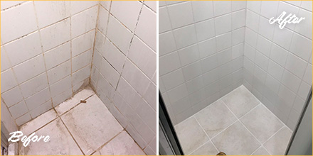 https://www.sirgroutchicago.com/pictures/pages/71/tile-grout-cleaners-lakeview-il-shower-480.jpg