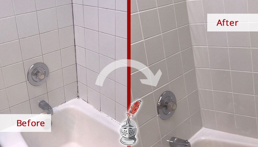 Grout Cleaning In Lincoln Park, How To Clean Bathroom Tile Grout Mold