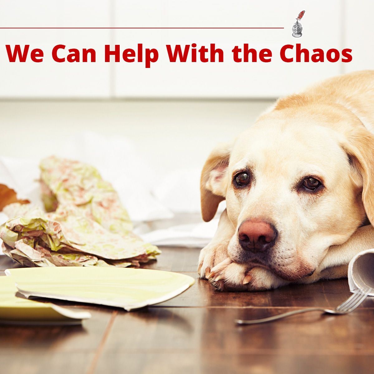 We Can Help With the Chaos