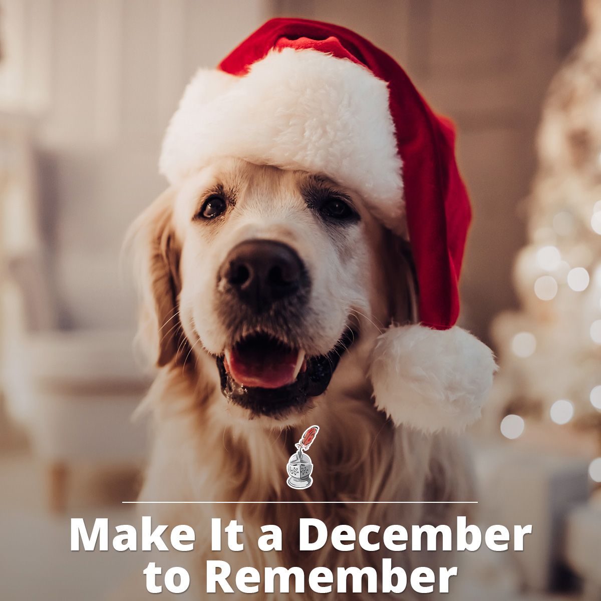 Make It a December to Remember