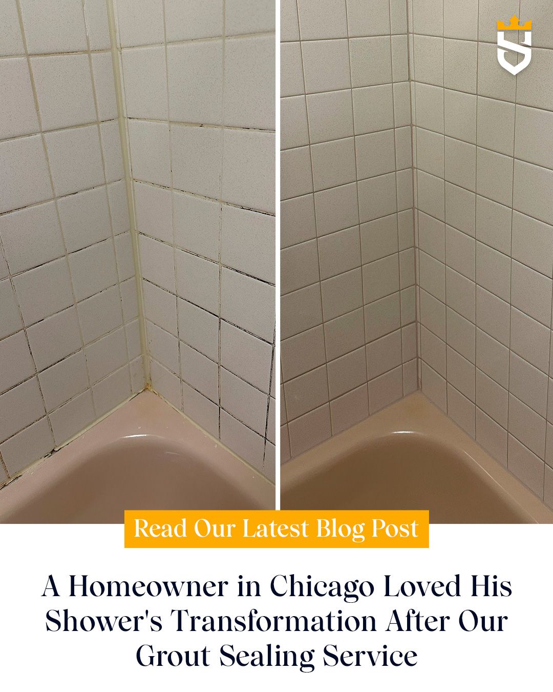 A Homeowner in Chicago Loved His Shower's Transformation After Our Grout Sealing Service