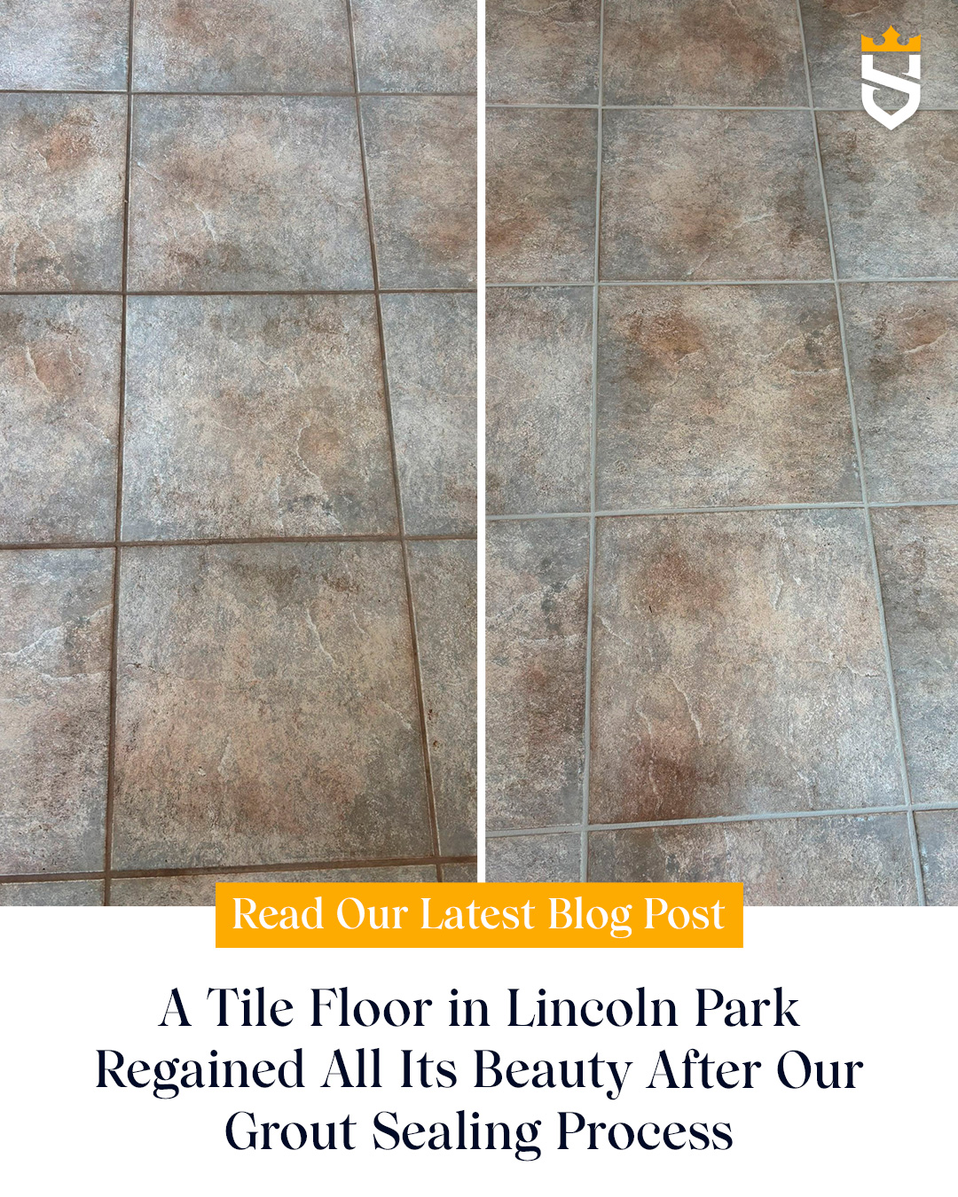 A Tile Floor in Lincoln Park Regained All Its Beauty After Our Grout Sealing Process