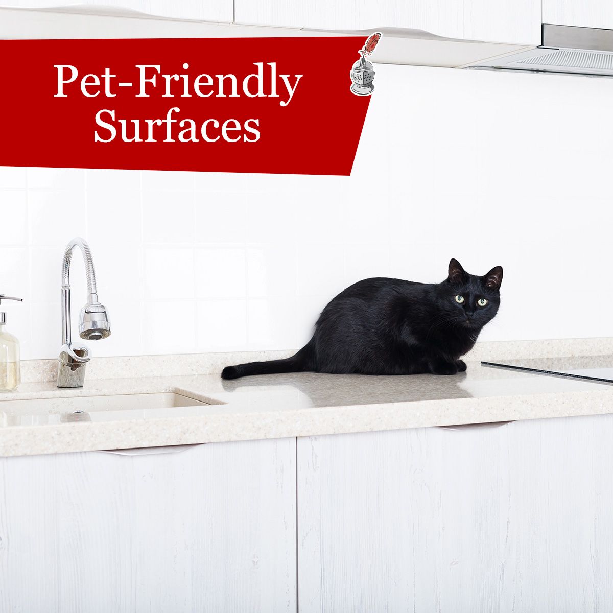 Pet-Friendly Surfaces